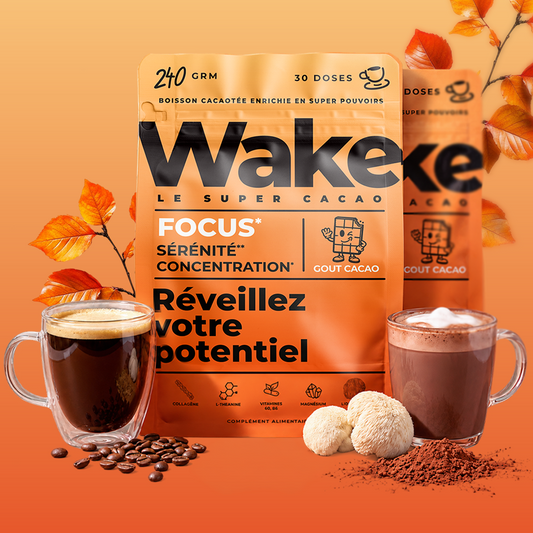 B2B - Wake - Le super cacao  - saison Automne